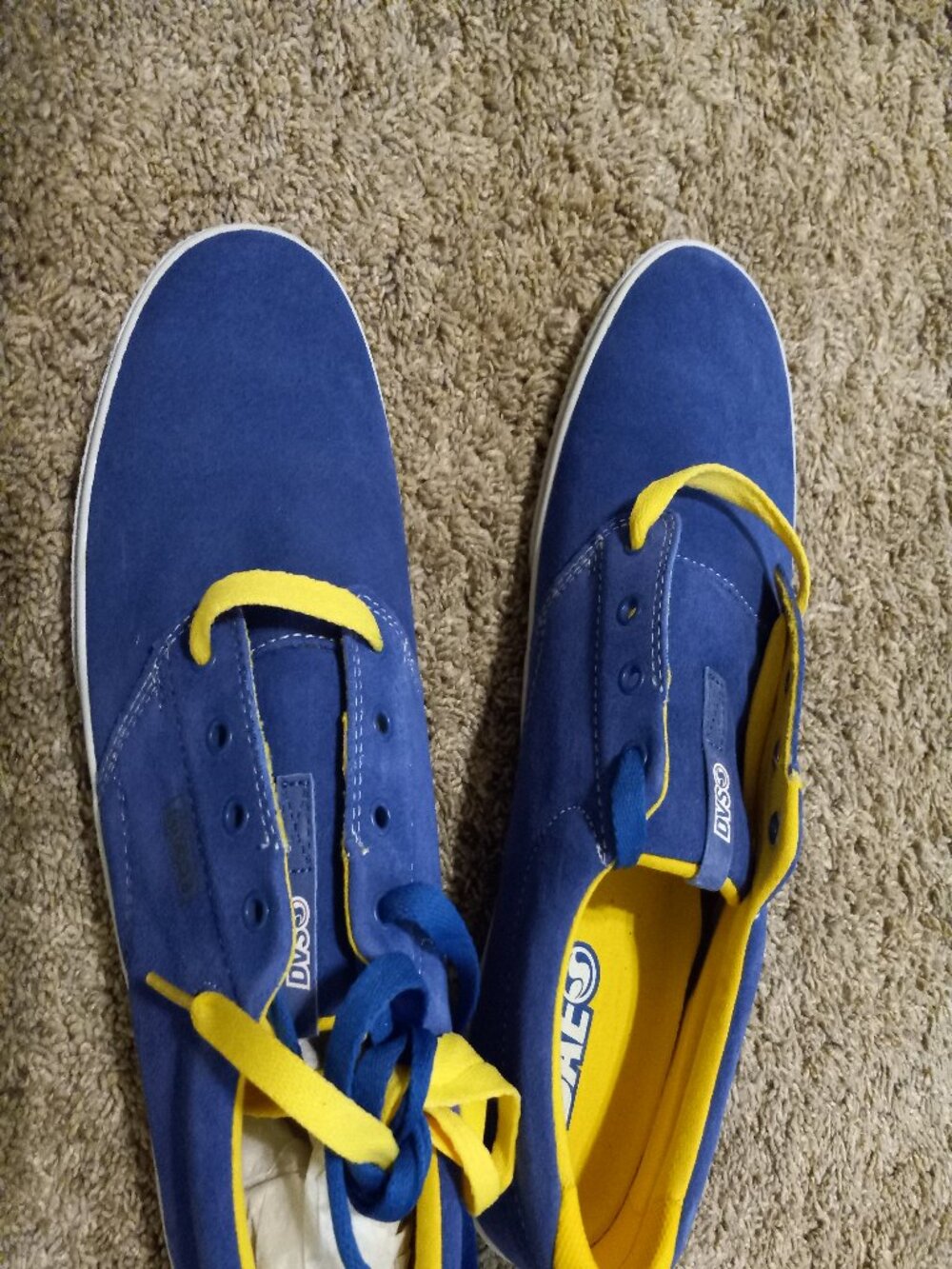 DVS DAEWON 13CT Size 11 New, no box